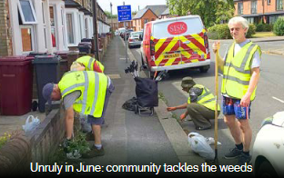 Weeding in Addison Road Reading